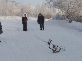 Ассоциация чукчей Якутии провела праздник встречи солнца