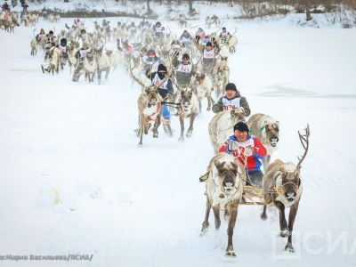 Якутяне стали самыми быстрыми в скачках на оленьих упряжках чемпионата по оленеводству