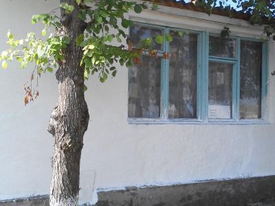 Лушинская сельская библиотека