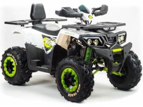 Квадроцикл MOTOLAND 200 Wild Track Lux ( Баланс. вал) (2021 Г.)