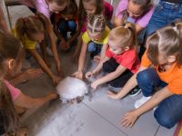 Интерактивный музей «Парк чудес Галилео» в Самаре