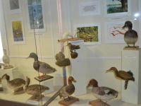 Краеведческий музей г. Бавлы