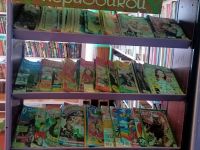 Борзовская сельская библиотека – филиал № 35