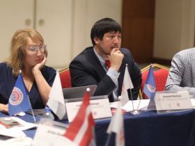 В Стамбуле прошло рабочее заседание Президиума Международной федерации мас-рестлинга