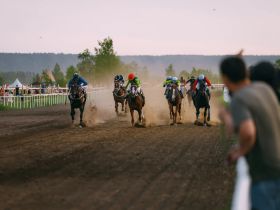 Победу на конных скачках на призы главы Якутии одержал скакун Атомик Бой