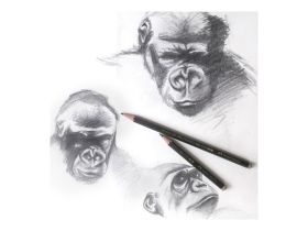 Набор карандашей чернографитных Faber-castell "CASTELL-9000" 12 шт (8B-2H) в металл коробке