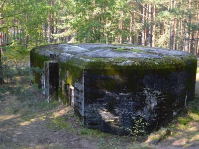 ДОТ № 134 КаУР