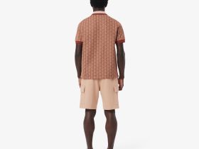 Мужские шорты Lacoste из органического хлопка