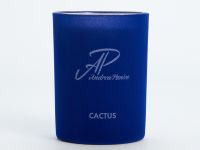 Свеча ароматическая Кактус/Cactus