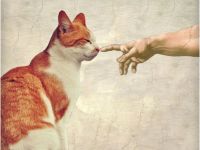 Комплект наклеек Krutoff «Мемы - звери» 8 шт