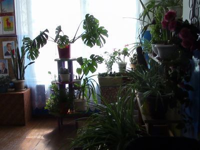 Новосельская сельская библиотека