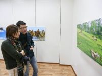 Художественный музей им. Ц. С. Сампилова