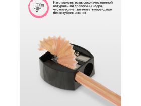 Набор карандашей чернографитных Гамма 12 шт, 5B-5H, картон. упаковка, европодвес