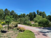 Дендрарий г. Выксы