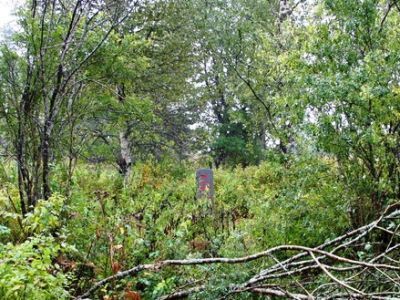 Братское захоронение советских воинов, погибших в 1941-44 гг.