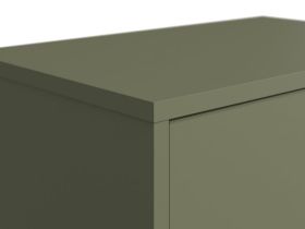 Обувница подвесная Сайрис 50x99 Оливковый