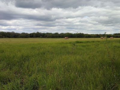 Спасатели выехали в Намский район на поиски пропавшей три дня назад женщины