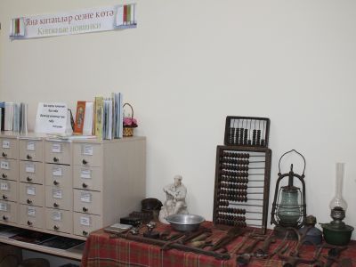 Балчыклинская сельская библиотека, филиал № 12