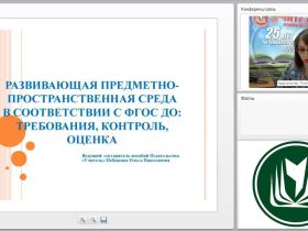 Развивающая предметно-пространственная среда в соответствии с ФГОС ДО: требования, контроль, оценка