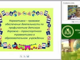Организация работы по профилактике детского дорожно-транспортного травматизма (в условиях реализации ФГОС)