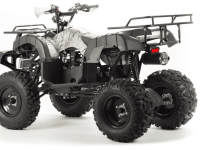 Квадроцикл MOTOLAND 200 All Road (2021 Г.)