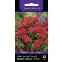 Вербена ампельная Обсешн Каскад Скарлет (Семена Профи)