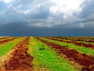 В Якутии на мелиорацию земель выделили 462 млн рублей