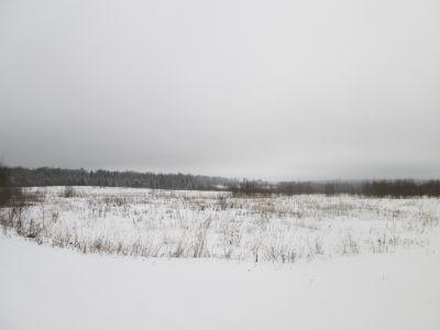 Памятное место, где в октябре 1941 г. был организован партизанский отряд "Народный мститель"