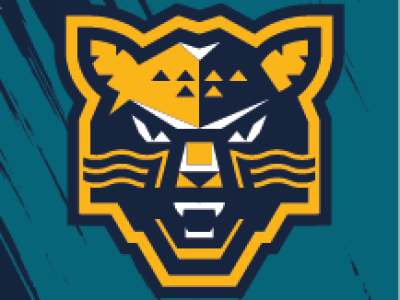 ХК Сочи - Лада