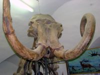 Консисторский корпус