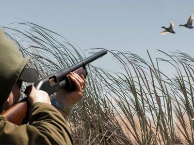 Минэкологии Якутии поясняет, где можно получить разрешение на охоту