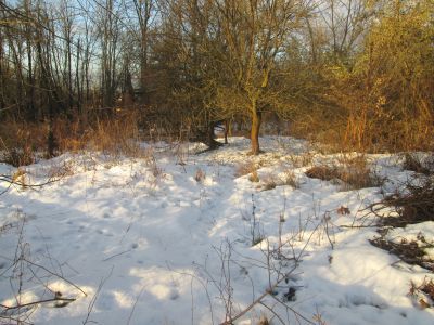Памятное место, где в 1942 г. происходил бой партизан с гитлеровцами. В этом бою погиб председатель Дорогобужского райисполкома И.И. Дворецкий