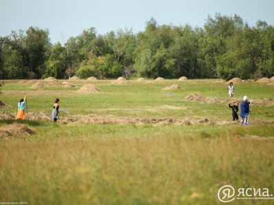 Хангаласский улус поможет в сенокосной кампании другим районам