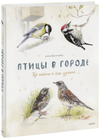 Птицы в городе