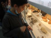 Музей Бурятского научного центра