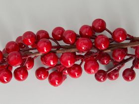 Ветвь Aculeo IV