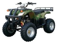 Квадроцикл ABM Apache 200