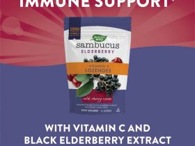 Nature's Way, Sambucus Elderberry, пастилки с бузиной и витамином C, со вкусом вишни, 24 пастилки