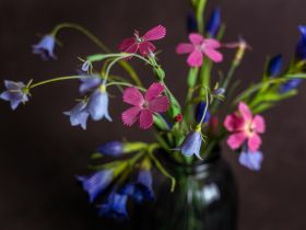 Якутянка создаёт из полимерной глины удивительно реалистичные цветы