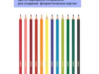 Набор карандашей цветных Гамма "Хобби. Флористика" 12 цв.,заточен., ПВХ, европодвес