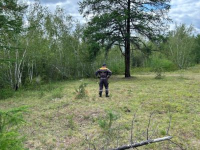 Не обрывай «нить жизни»: как спастись, если заблудился в лесу