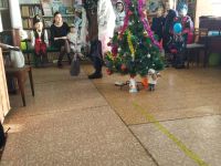 Северная сельская библиотека