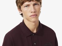 Мужское поло Lacoste