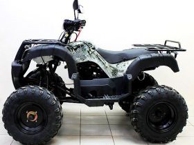 Квадроцикл ATV Avenger Tungus 250
