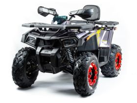 Квадроцикл MOTOLAND 200 Wild Track X Pro (2022)