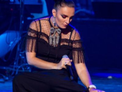 Елена Ваенга
