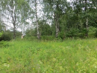 Соединительные линии (восемь)