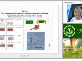 Психолого-педагогическое сопровождение первоклассников в условиях реализации ФГОС