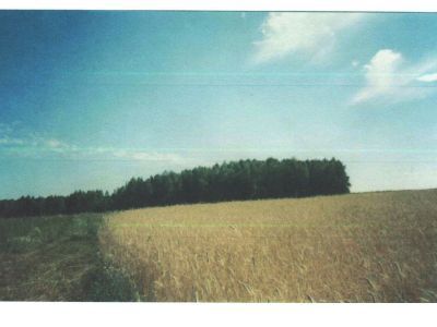 Священная роща