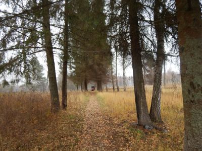 Родина Героя Советского союза А.Г. Павлова, погибшего в апреле 1944 г.